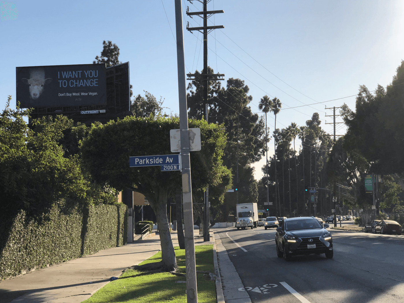 PETA lambs wool billboard courtesy PETA.jpg